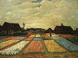 Vincent van Gogh - Flower Beds in Holland painting